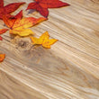 Pavimento in rovere Woody massiccio, Large, oliato pronto per l'uso